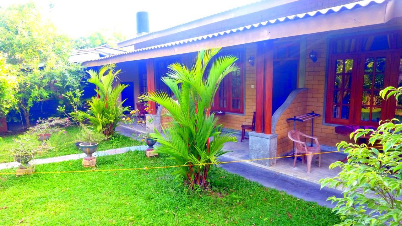 Dandelion - Unawatuna Luaran gambar
